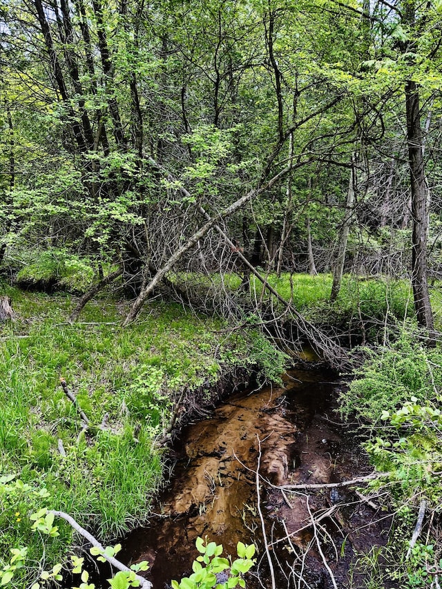 884 N Gavord Rd, Sterling, MI 48659 - view of local wilderness