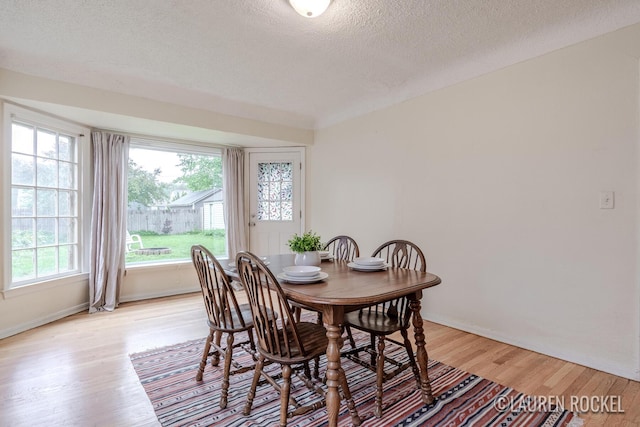 839 Joslin St SE, Grand Rapids, MI 49507 - dining room featuring light wood-style floors, a textured ceiling, and baseboards