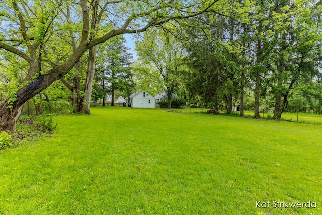 1900 Kinney Ave NW, Grand Rapids, MI 49534 - view of green lawn