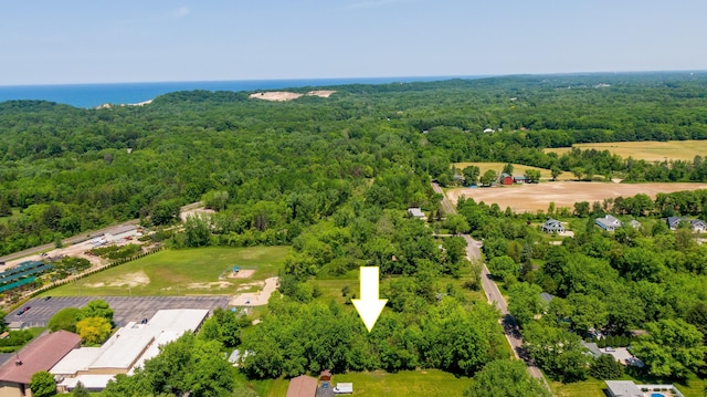 12870 Flynn Rd, Sawyer, MI 49125