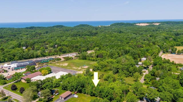12870 Flynn Rd, Sawyer, MI 49125