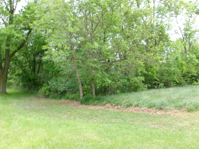 12870 Flynn Rd, Sawyer, MI 49125