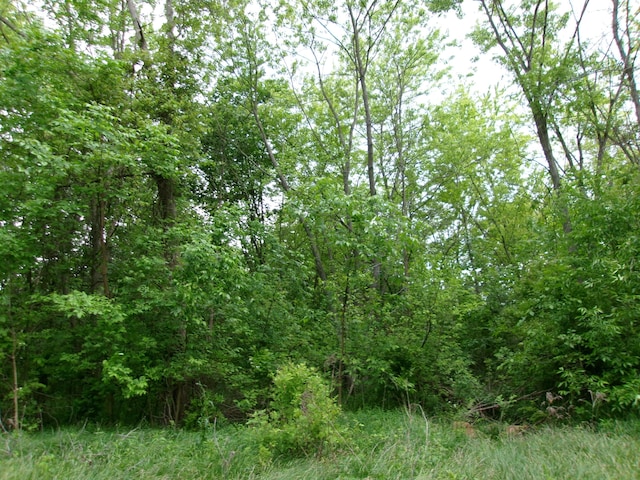 12870 Flynn Rd, Sawyer, MI 49125