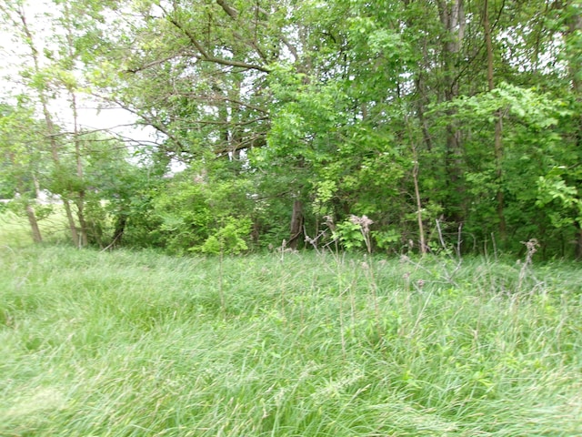 12870 Flynn Rd, Sawyer, MI 49125