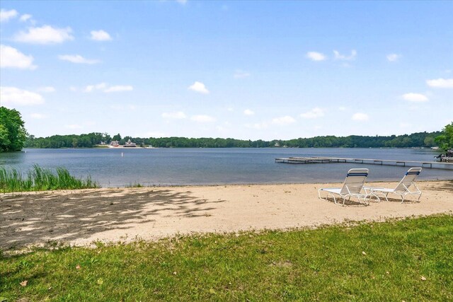 13754 45th St, Bloomingdale, MI 49026 - photo 40