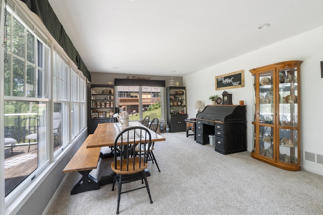 10740 Emerald Dr, Cement City, MI 49233 - photo 31