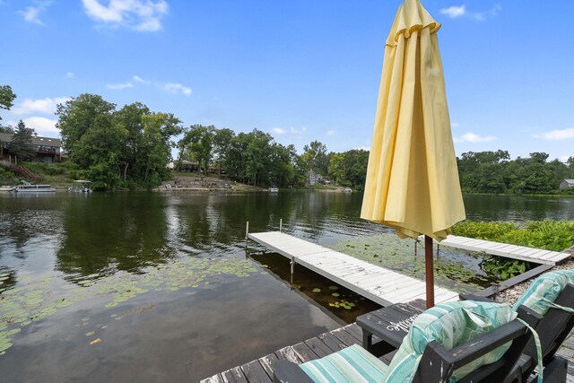 10740 Emerald Dr, Cement City, MI 49233 - photo 75