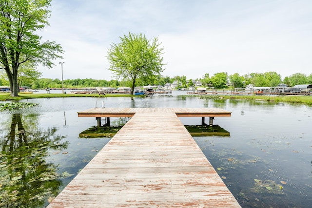 5632 N Watervliet Rd Unit 22, Watervliet, MI 49098 - dock area with a water view