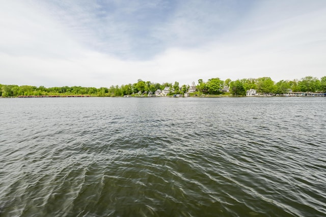 5632 N Watervliet Rd Unit 22, Watervliet, MI 49098 - water view