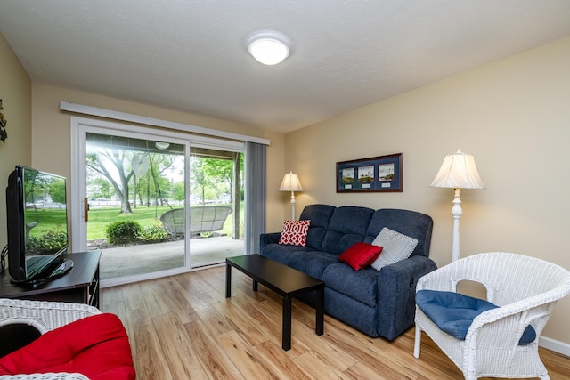 5632 N Watervliet Rd Unit 22, Watervliet, MI 49098 - living room with light wood-type flooring