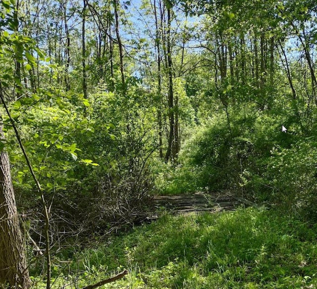 0 64th St, Fennville, MI 49408 - photo 4