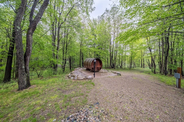 V/L Wyman Rd, Remus, MI 49340