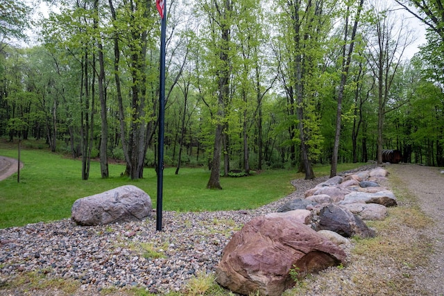 V/L Wyman Rd, Remus, MI 49340