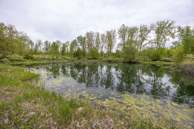 V/L Wyman Rd, Remus, MI 49340