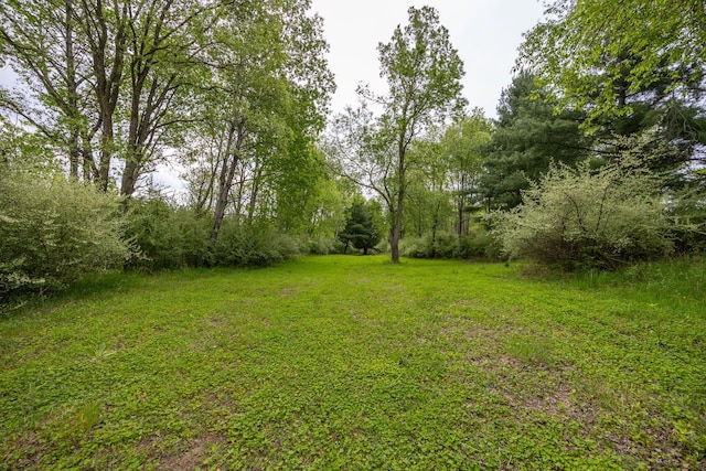 V/L Wyman Rd, Remus, MI 49340