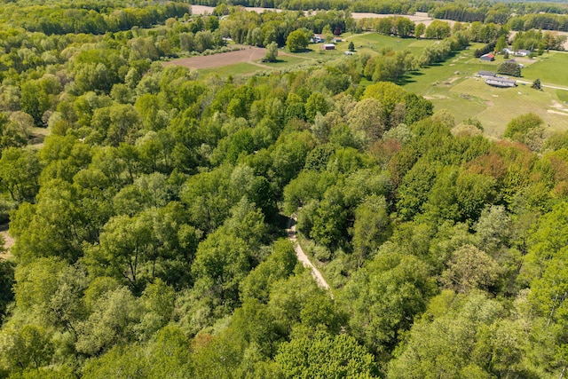 V/L Wyman Rd, Remus, MI 49340