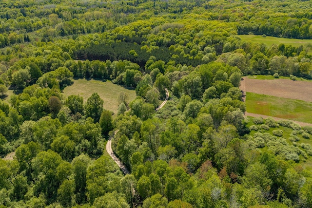 V/L Wyman Rd, Remus, MI 49340