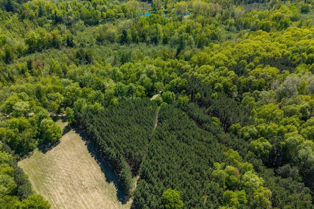 V/L Wyman Rd, Remus, MI 49340