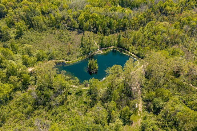 V/L Wyman Rd, Remus, MI 49340