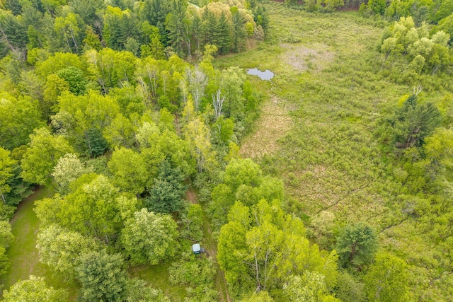 V/L Wyman Rd, Remus, MI 49340