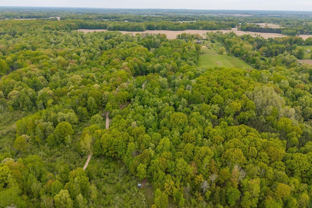 V/L Wyman Rd, Remus, MI 49340