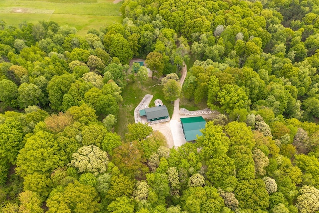 V/L Wyman Rd, Remus, MI 49340
