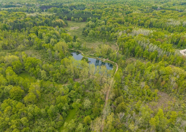 V/L Wyman Rd, Remus, MI 49340