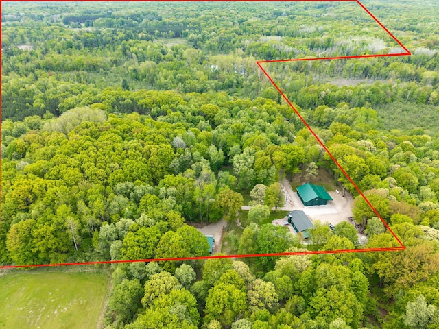 V/L Wyman Rd, Remus, MI 49340
