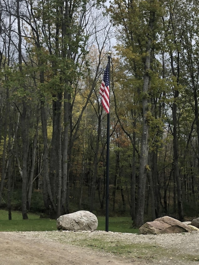 V/L Wyman Rd, Remus, MI 49340