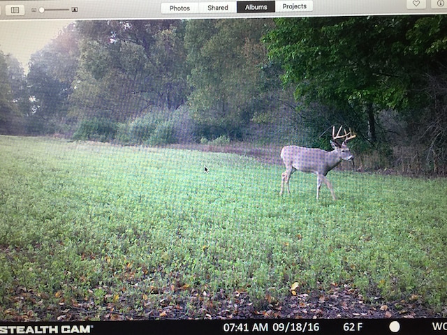 V/L Wyman Rd, Remus, MI 49340