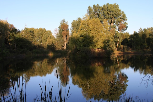 V/L Wyman Rd, Remus, MI 49340