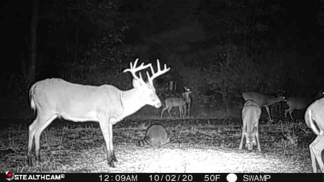 V/L Wyman Rd, Remus, MI 49340
