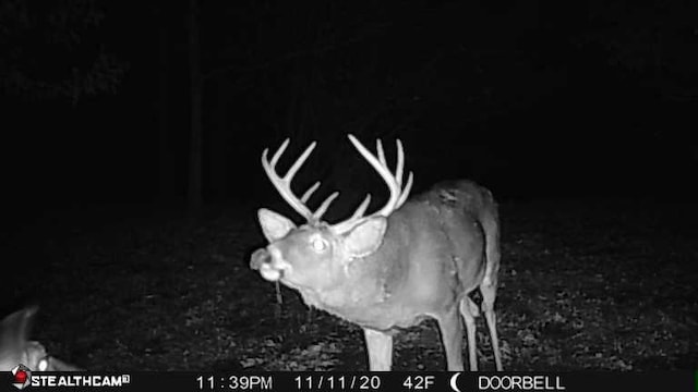 V/L Wyman Rd, Remus, MI 49340