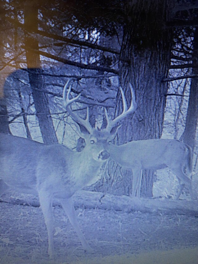 V/L Wyman Rd, Remus, MI 49340