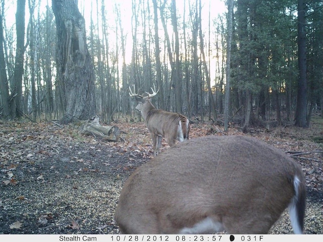 V/L Wyman Rd, Remus, MI 49340