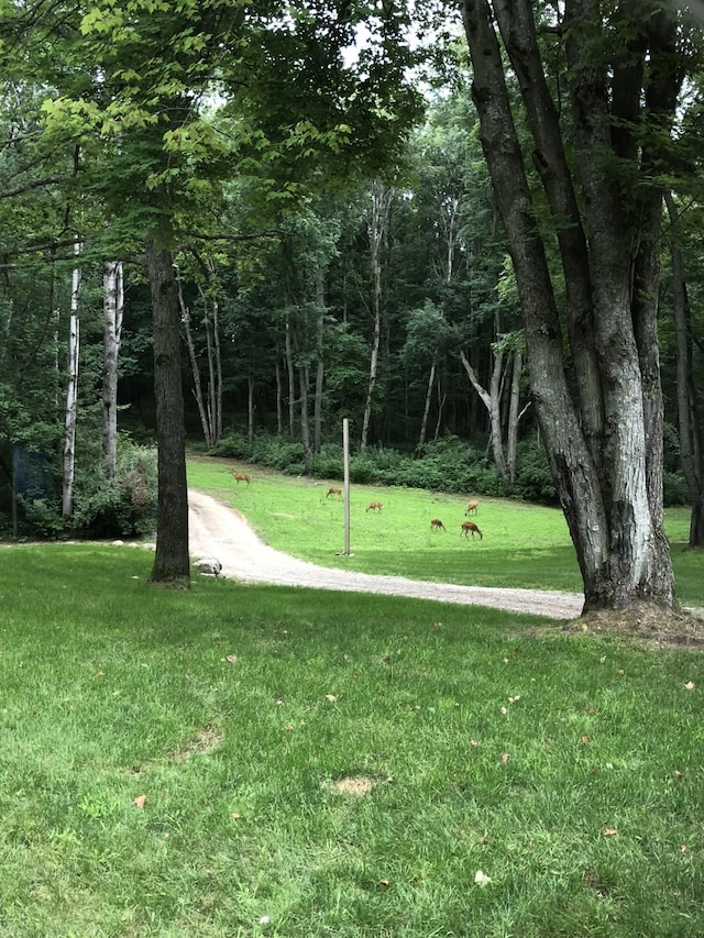V/L Wyman Rd, Remus, MI 49340