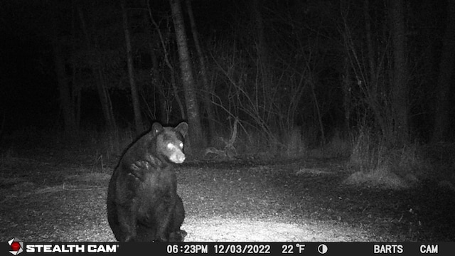 V/L Wyman Rd, Remus, MI 49340