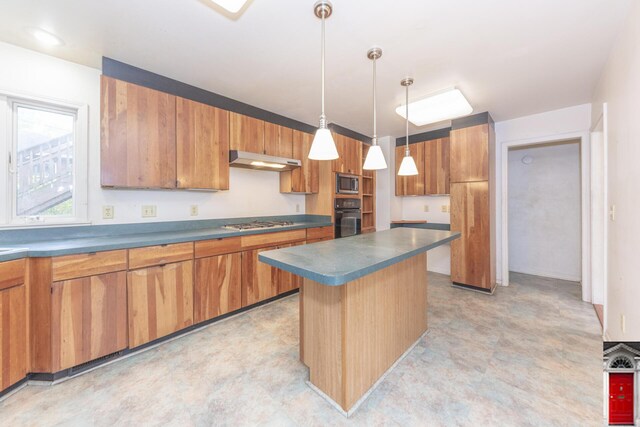 1506 Chandler Rd, Ann Arbor, MI 48105 - kitchen with stainless steel appliances, under cabinet range hood, light flooring, and dark countertops