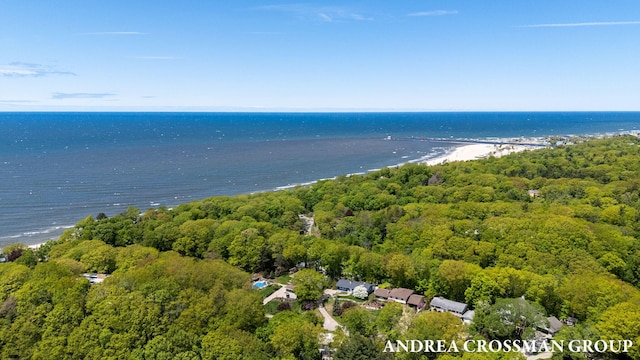 17946 Robbins Rd, Grand Haven, MI 49417 - view of property location with a large body of water and a heavily wooded area