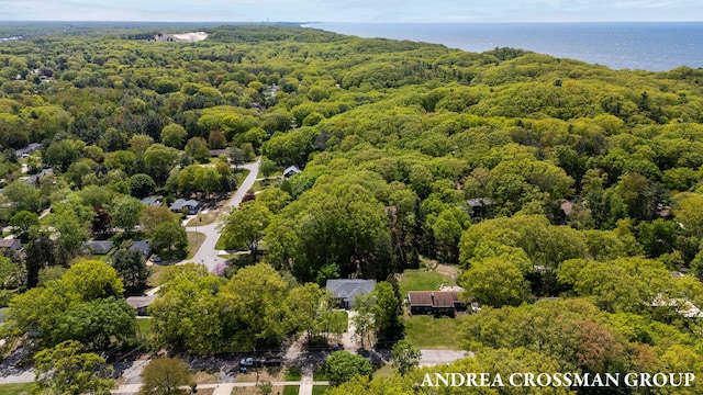 17946 Robbins Rd, Grand Haven, MI 49417 - drone / aerial view of a forest and a nearby body of water