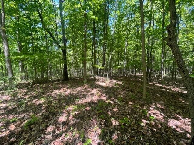 44th St, Bloomingdale, MI 49026