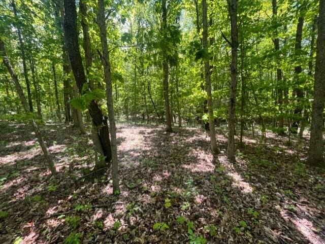44th St, Bloomingdale, MI 49026