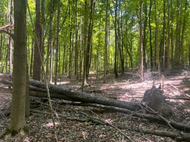 44th St, Bloomingdale, MI 49026