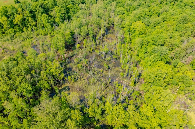 44th St, Bloomingdale, MI 49026