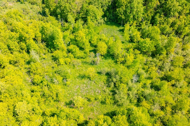 44th St, Bloomingdale, MI 49026
