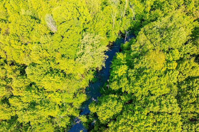 44th St, Bloomingdale, MI 49026