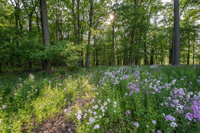 4297 Upper Glade Ct, Ann Arbor, MI 48103 - photo 101