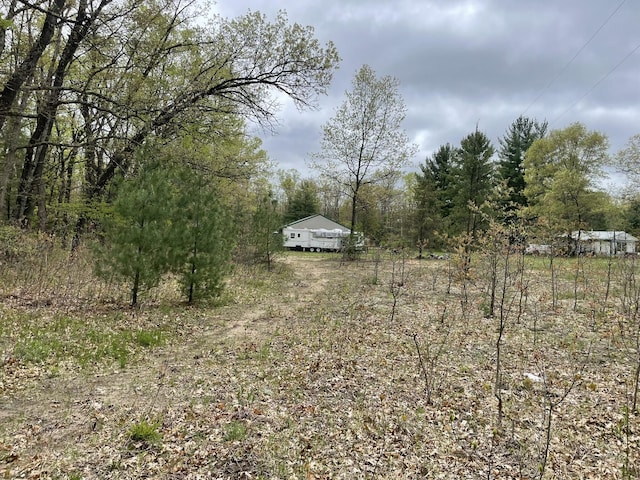 16622 Steinberg Rd, Wellston, MI 49689