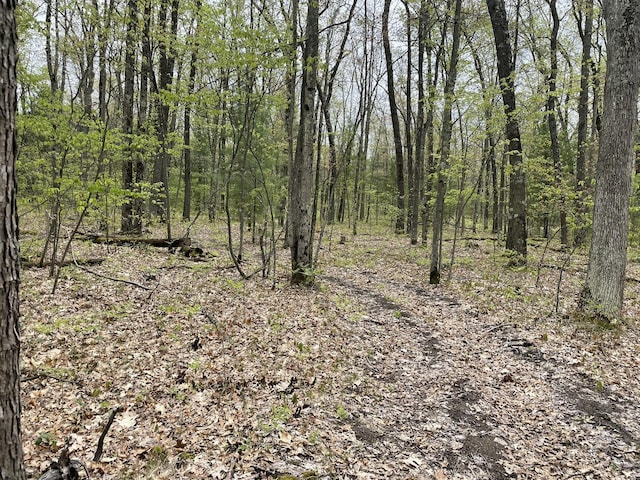 16622 Steinberg Rd, Wellston, MI 49689