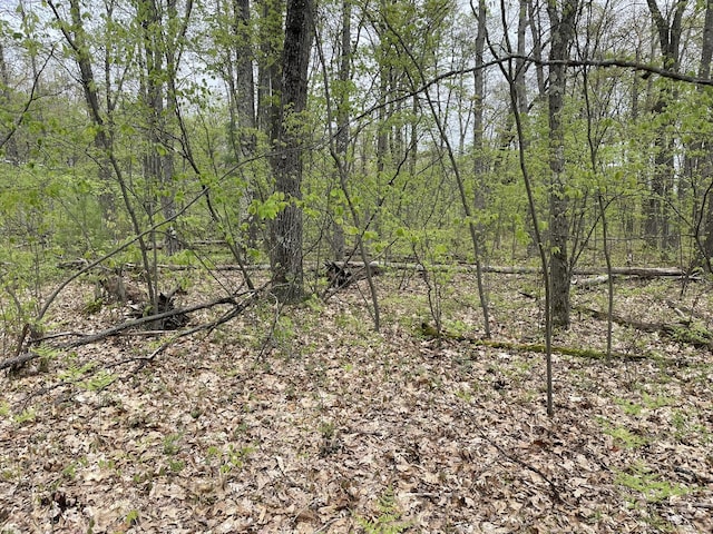16622 Steinberg Rd, Wellston, MI 49689
